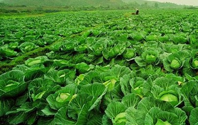 &#31859;&#20848;&#119;&#101;&#98;&#29256;&#30331;&#24405;&#20837;&#21475;&#45;&#31859;&#20848;&#65288;&#20013;&#22269;&#65289;