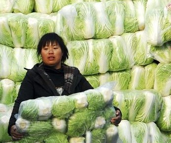 &#31859;&#20848;&#119;&#101;&#98;&#29256;&#30331;&#24405;&#20837;&#21475;&#45;&#31859;&#20848;&#65288;&#20013;&#22269;&#65289;